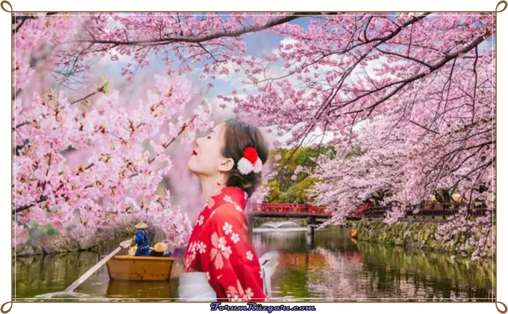 desktop-wallpaper-sakura-mobile.jpg